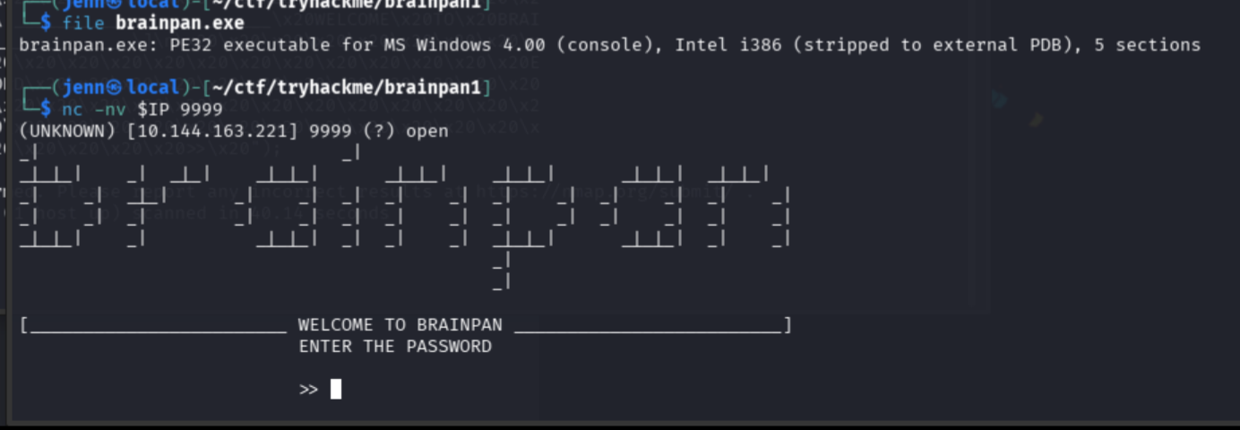 Netcat connecting to port 9999 showing the Brainpan password prompt